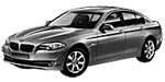 BMW F10 P040A Fault Code